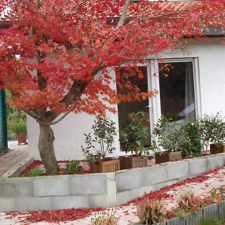 カンダーンHaus Magnolia 2アパートメント エクステリア 写真
