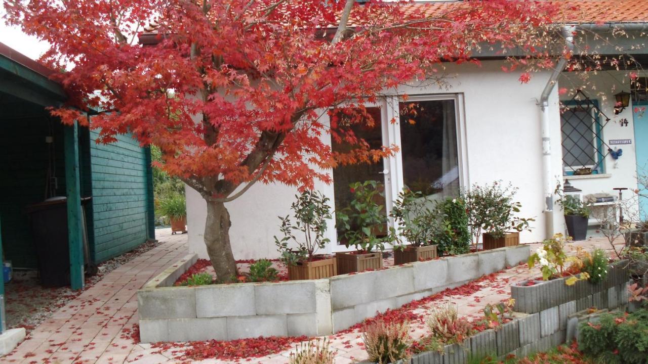 カンダーンHaus Magnolia 2アパートメント エクステリア 写真